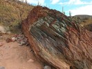 photo thumbnail #8