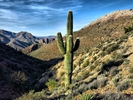 photo thumbnail #2