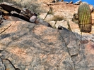 photo thumbnail #4