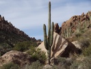 photo thumbnail #2