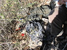 photo thumbnail #5