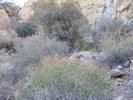 photo thumbnail #14