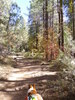 photo thumbnail #6