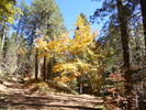 photo thumbnail #8