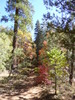photo thumbnail #12
