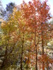 photo thumbnail #13