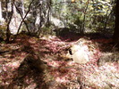 photo thumbnail #14