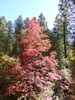photo thumbnail #15