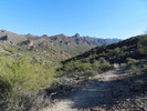 photo thumbnail #1