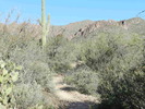 photo thumbnail #2