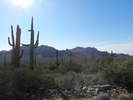 photo thumbnail #7
