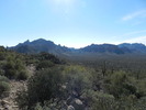 photo thumbnail #11
