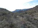 photo thumbnail #1