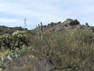 photo thumbnail #2