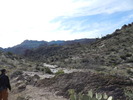 photo thumbnail #1