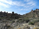 photo thumbnail #3