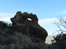 photo thumbnail #4