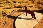 photo thumbnail #1