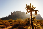 photo thumbnail #2