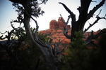 photo thumbnail #8