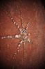 photo thumbnail #13