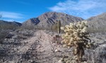 photo thumbnail #1