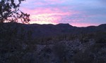photo thumbnail #6