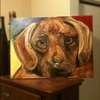 photo thumbnail #6