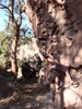 photo thumbnail #2
