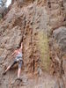 photo thumbnail #11