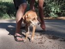 photo thumbnail #4