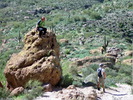 photo thumbnail #14