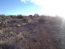 photo thumbnail #3