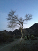 photo thumbnail #2