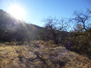 photo thumbnail #4
