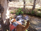 photo thumbnail #8