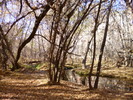 photo thumbnail #10