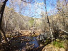 photo thumbnail #11