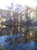 photo thumbnail #14