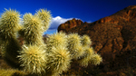 photo thumbnail #7