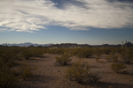 photo thumbnail #4