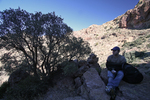 photo thumbnail #13