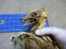 photo thumbnail #2