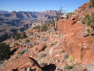 photo thumbnail #10