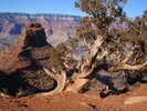 Featured Detail Photo