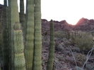 photo thumbnail #2