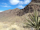 photo thumbnail #5