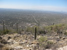 photo thumbnail #2