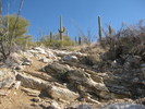 photo thumbnail #3