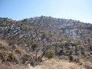 photo thumbnail #11